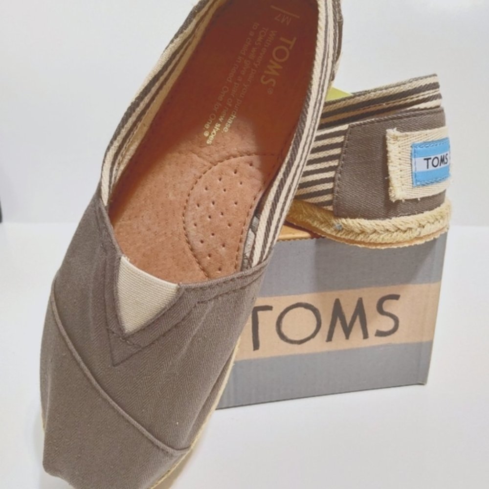 TOMS University Ash Men's Classics